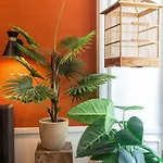 Apartamento Exotische Paradies- Majestaetischer Aufenthalt Im Herzen Von By Interhome